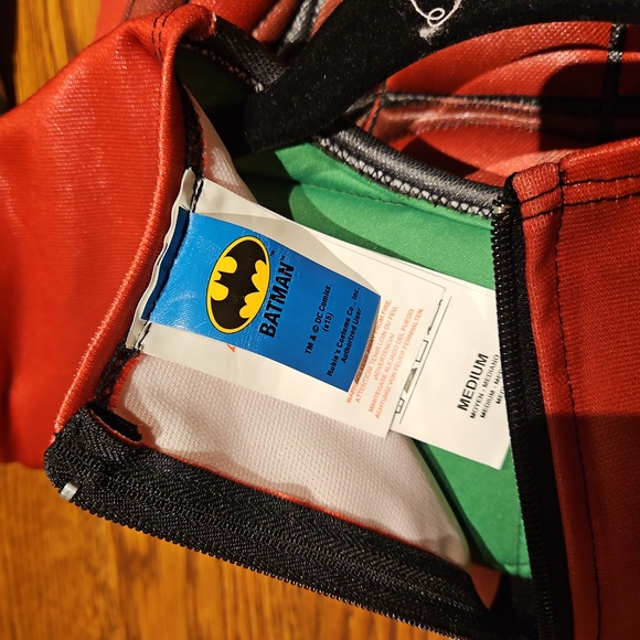 Chasing Fireflies Rubies Ultimate Robin costume - like new! - Picture 2 of 3